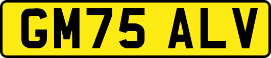 GM75ALV