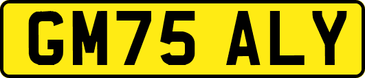 GM75ALY
