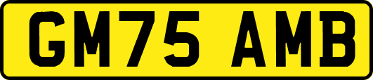 GM75AMB