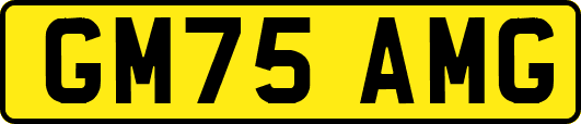 GM75AMG