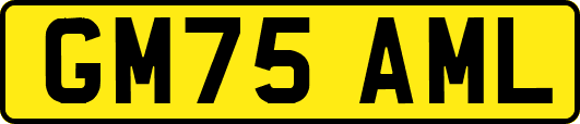 GM75AML
