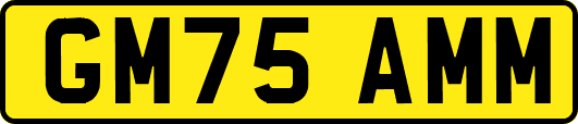 GM75AMM