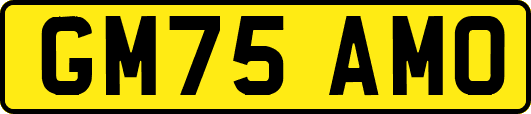 GM75AMO