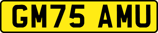 GM75AMU