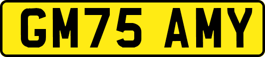 GM75AMY