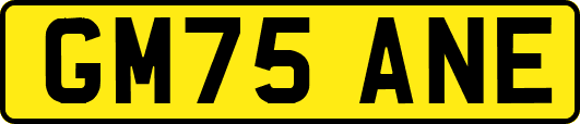GM75ANE