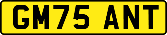 GM75ANT