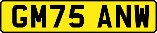 GM75ANW
