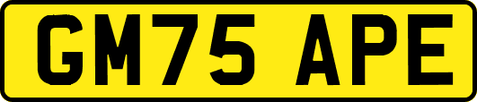 GM75APE