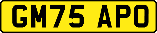 GM75APO