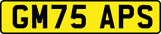 GM75APS