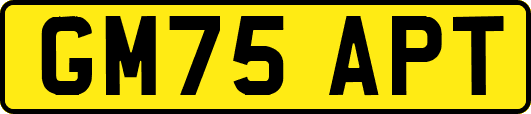 GM75APT