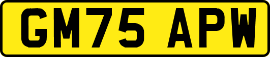 GM75APW