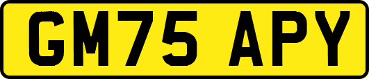 GM75APY