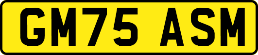 GM75ASM
