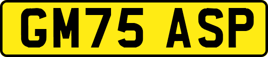 GM75ASP