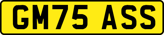 GM75ASS