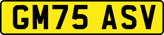GM75ASV
