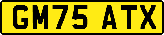 GM75ATX