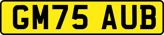 GM75AUB