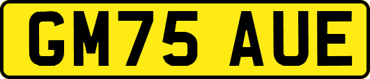 GM75AUE