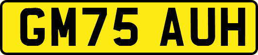 GM75AUH