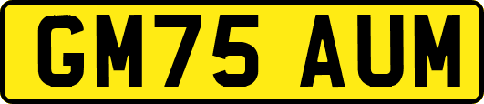 GM75AUM