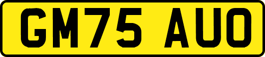 GM75AUO