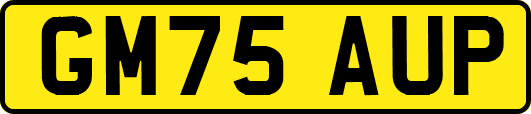 GM75AUP