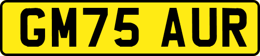 GM75AUR