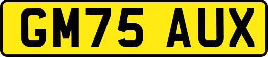 GM75AUX