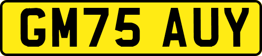 GM75AUY