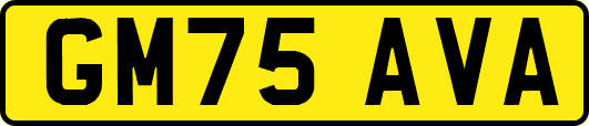 GM75AVA