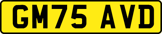 GM75AVD
