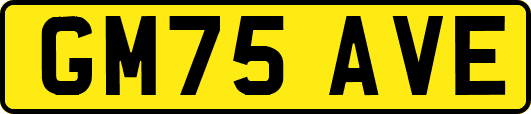 GM75AVE