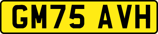 GM75AVH