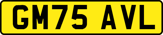 GM75AVL