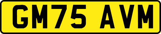 GM75AVM