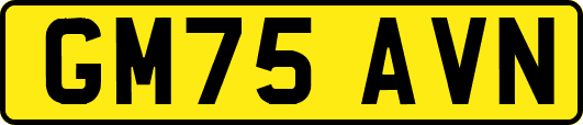 GM75AVN
