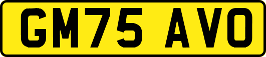 GM75AVO