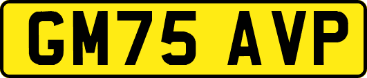 GM75AVP
