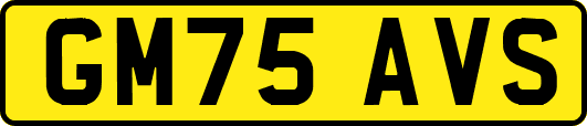 GM75AVS