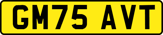 GM75AVT