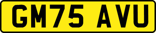 GM75AVU
