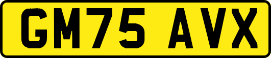 GM75AVX