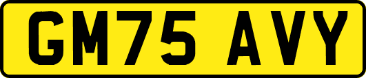 GM75AVY