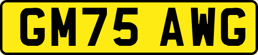 GM75AWG