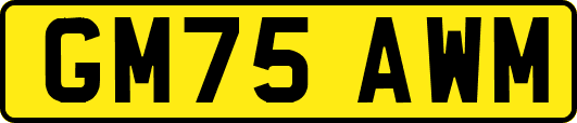 GM75AWM