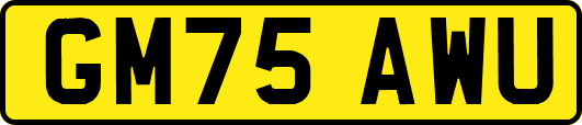 GM75AWU
