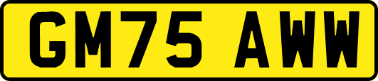 GM75AWW